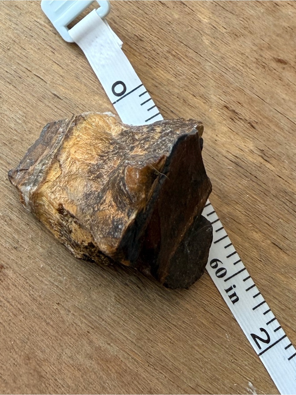 Raw Tiger’s Eye Crystal 2” Golden Brown Natural Mineral Specimen
